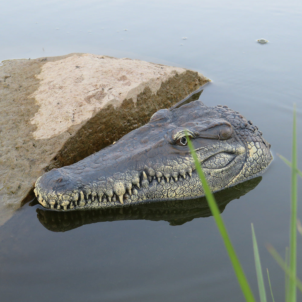 RC Alligator Head 🗽 - migikid